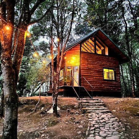 Unicorn Lodge: Direct Riverfront : Unique Experience San Gerardo de Dota Exteriör bild