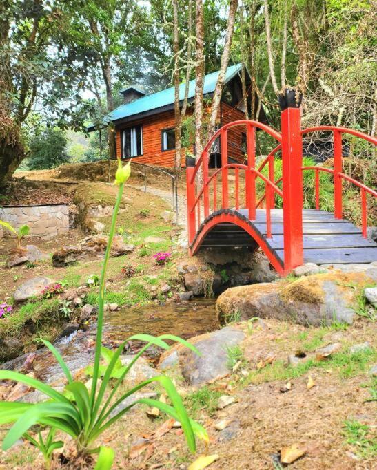 Unicorn Lodge: Direct Riverfront : Unique Experience San Gerardo de Dota Exteriör bild