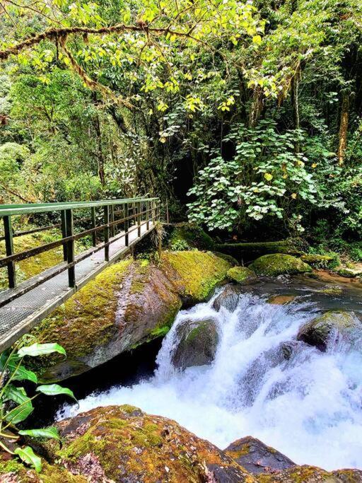 Unicorn Lodge: Direct Riverfront : Unique Experience San Gerardo de Dota Exteriör bild