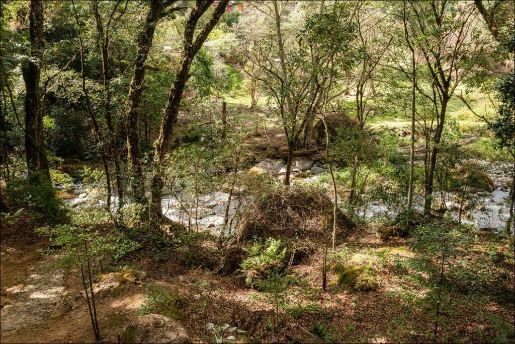 Unicorn Lodge: Direct Riverfront : Unique Experience San Gerardo de Dota Exteriör bild