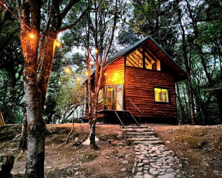 Unicorn Lodge: Direct Riverfront : Unique Experience San Gerardo de Dota Exteriör bild