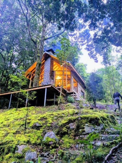 Unicorn Lodge: Direct Riverfront : Unique Experience San Gerardo de Dota Exteriör bild