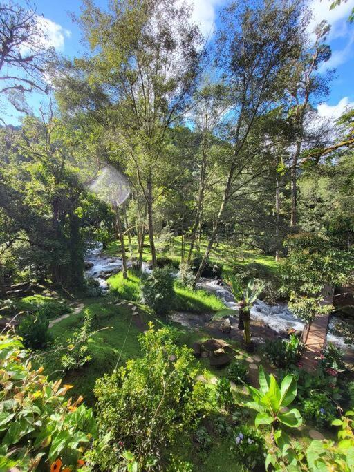 Unicorn Lodge: Direct Riverfront : Unique Experience San Gerardo de Dota Exteriör bild