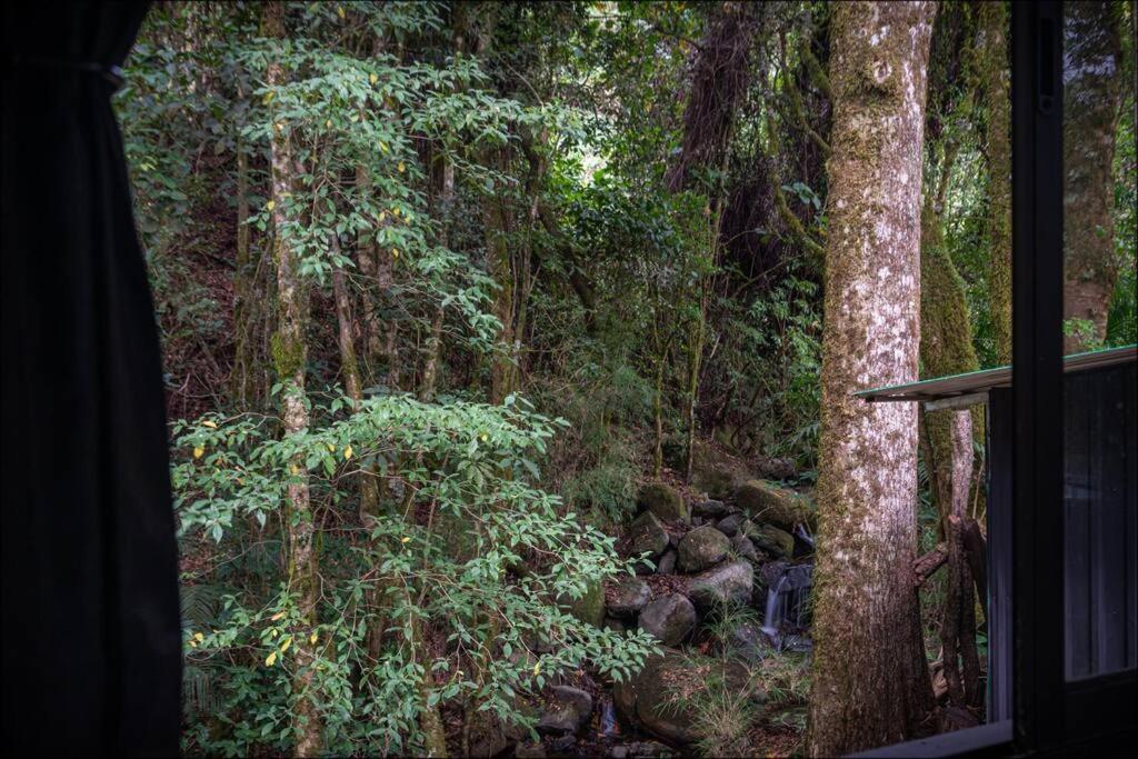 Unicorn Lodge: Direct Riverfront : Unique Experience San Gerardo de Dota Exteriör bild
