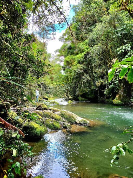 Unicorn Lodge: Direct Riverfront : Unique Experience San Gerardo de Dota Exteriör bild