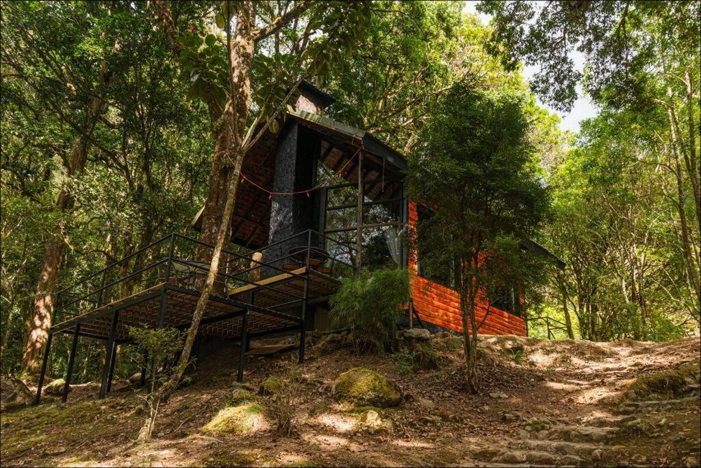 Unicorn Lodge: Direct Riverfront : Unique Experience San Gerardo de Dota Exteriör bild