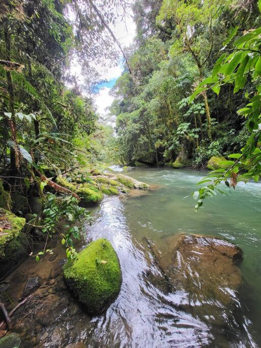 Unicorn Lodge: Direct Riverfront : Unique Experience San Gerardo de Dota Exteriör bild