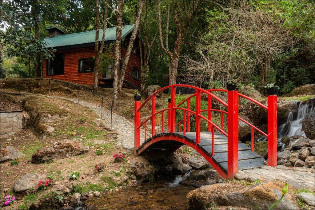 Unicorn Lodge: Direct Riverfront : Unique Experience San Gerardo de Dota Exteriör bild